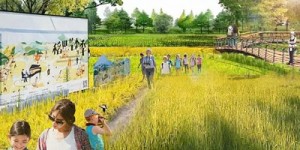 云南省探索形成一批农村综合性改革经验