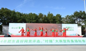安徽肥东县举办“村播”大赛助力乡村振兴