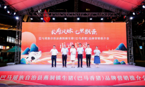 2024年燕洞镇生猪（巴马香猪）品牌营销推介会在邕成功举办