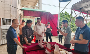 泉州市农科所助力灵源荔枝新品种观测鉴定与推介(图1)